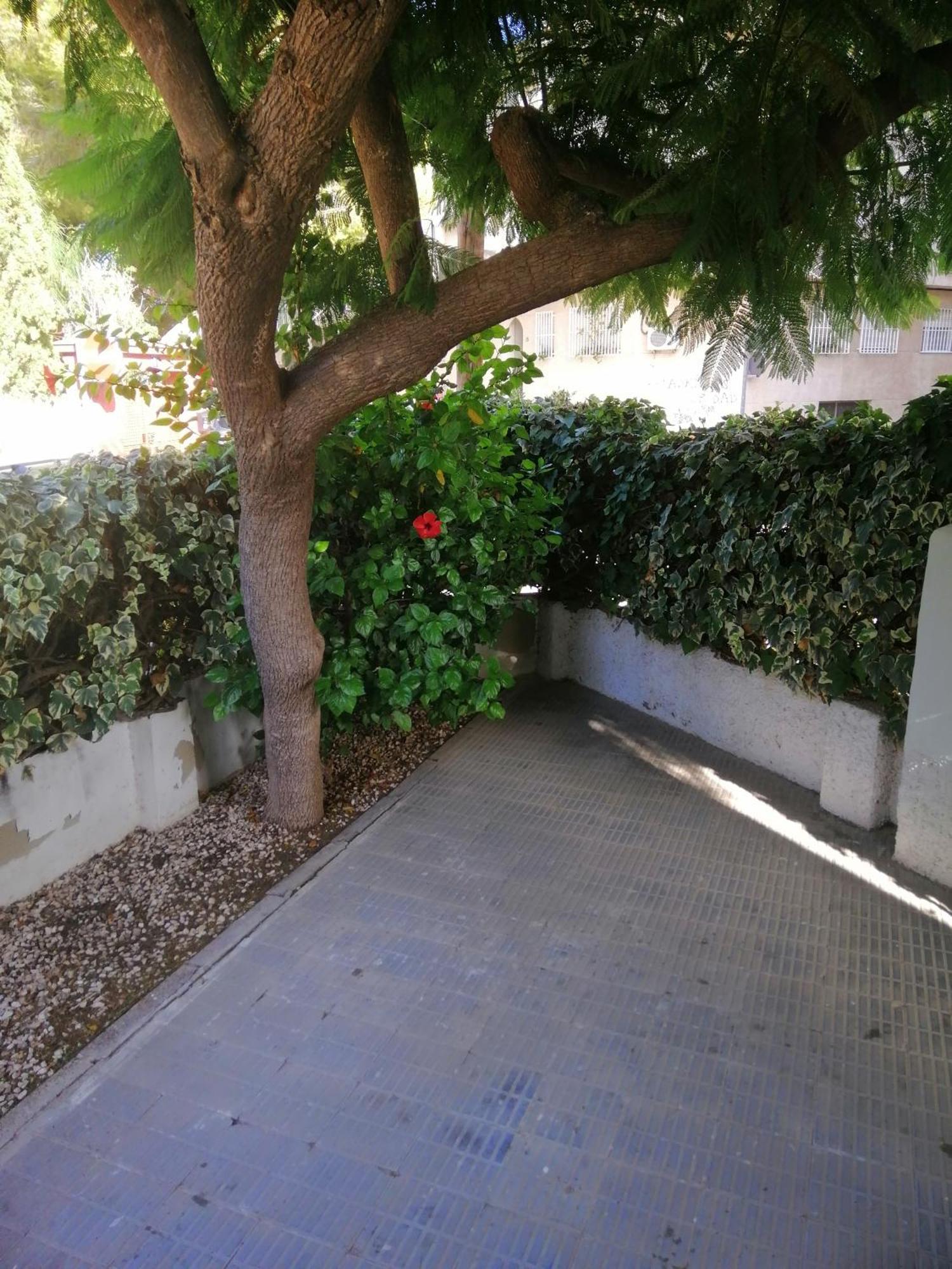 Chalet II Con Jardin Y Wifi En La Playa San Pedro del Pinatar Dış mekan fotoğraf